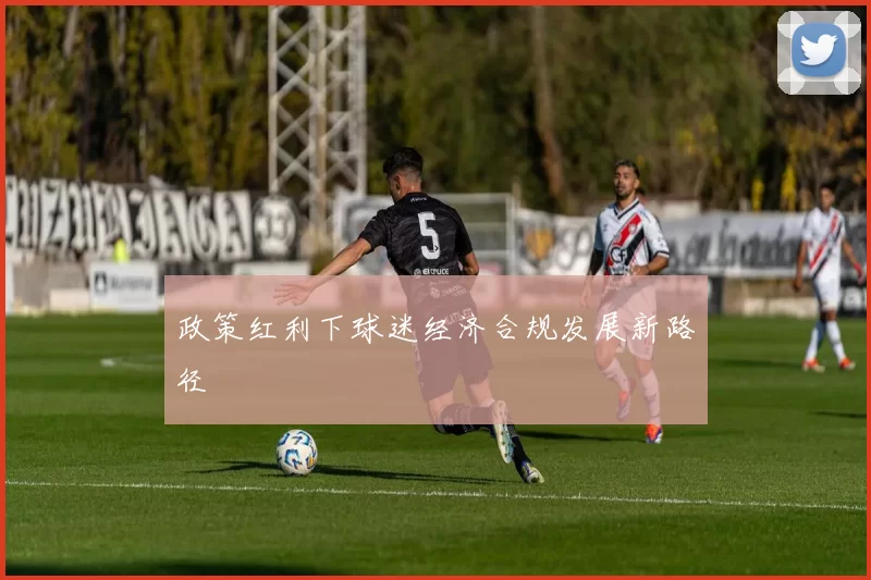 政策红利下球迷经济合规发展新路径