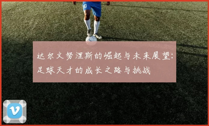 达尔文努涅斯的崛起与未来展望：足球天才的成长之路与挑战