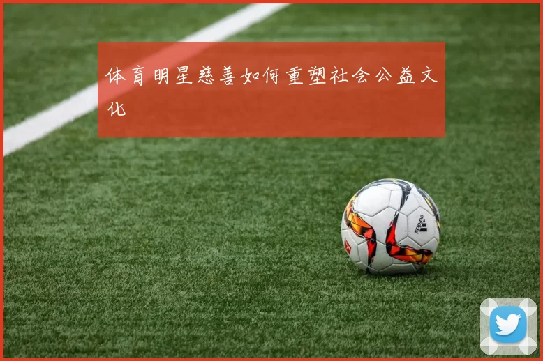 体育明星慈善如何重塑社会公益文化