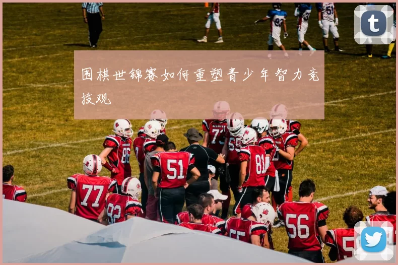 围棋世锦赛如何重塑青少年智力竞技观