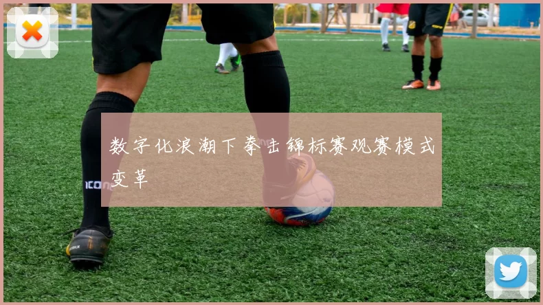 数字化浪潮下拳击锦标赛观赛模式变革