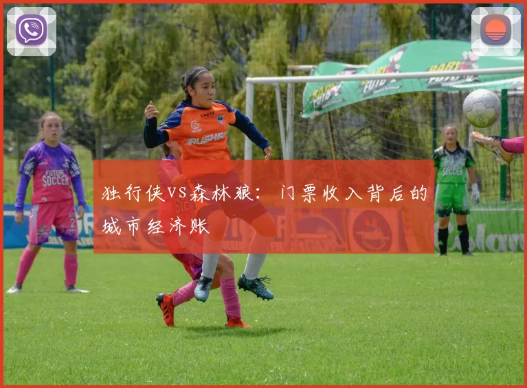独行侠vs森林狼：门票收入背后的城市经济账