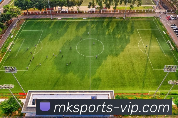 MKsports平台生态图